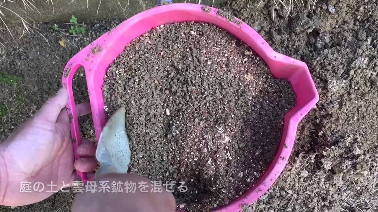 芝生の床土 土壌改良 Youtube