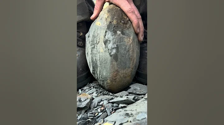 Small Boulder Cracked for Fossils!