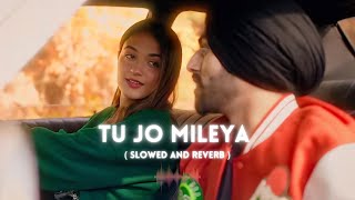 Tu Jo Mileya ( Slowed & Reverb ) MixSingh | Shruti Bakshi | Juss | New Punjabi Romantic Song 2024