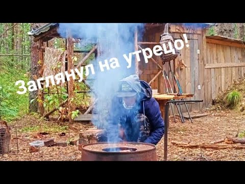 Погода кия городок