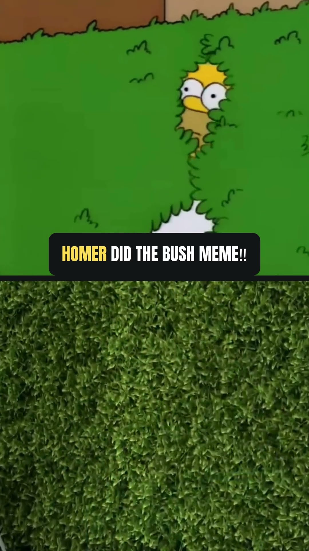 HOMER DID THE BUSH MEME!