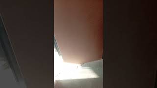 Mirror 25 Ft Back Side By Mt Bronto Group