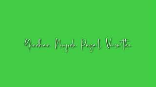 Baya love song lyrics video green screen lyric video