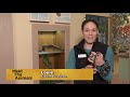 Rockville 11: Meet the Animals Special 1