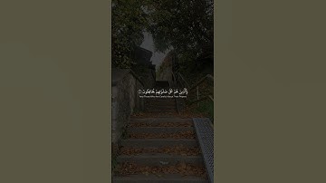 ياسر الدوسري - سورة المؤمنون 🤍 | #قرآن