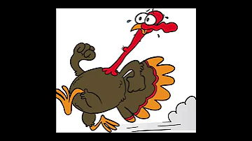 Turkey Song 