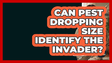 Can Pest Dropping Size Identify The Invader? - Insects and Invaders