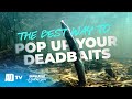 Best Way To Pop Up Your Deadbaits - Air Injected Pike Baits - Pike Fishing