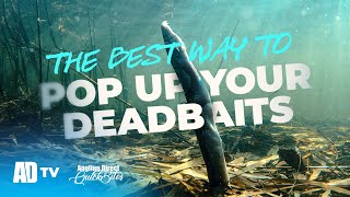Best Way To Pop Up Your Deadbaits - Air Injected Pike Baits - Pike Fishing