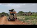 Uganda Wildlife Safari Game Drive Cymo African Safaris Uganda Wildlife Safari Game Drive Cymo African Safaris