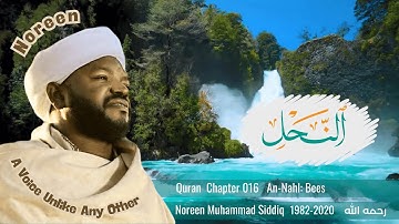 A Voice Unlike Any Other  | Surah An-Nahl | سورة النحل | Noreen Muhammad Siddiq