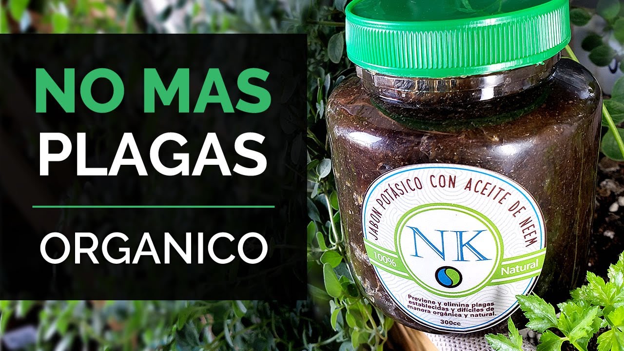 NK Jabón Potásico con aceite de Neem 100 cc