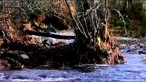 Climate Change in Scotlands Highlands by David Attenborough