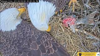 Boone brings dinner to Jolene 23.02.2026 ETSU Eagle Cameras Johnson City Cam 1 / Cam 3