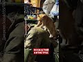 🥰КОТОТЕРАПІЯ на передовій! Пухнастий побратим заступив на бойове чергування #shorts