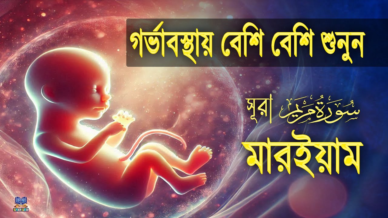 সূরা মার‌ইয়াম l গর্ভাবস্থায় বেশি বেশি করে শুনুন l SURAH MARYAM l Best Recitation By Alaa Aqel