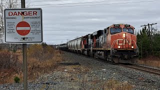 Faded CN ES44DC Teardrop 2286 w/ Nice K5HL Leads Local Train 598 South