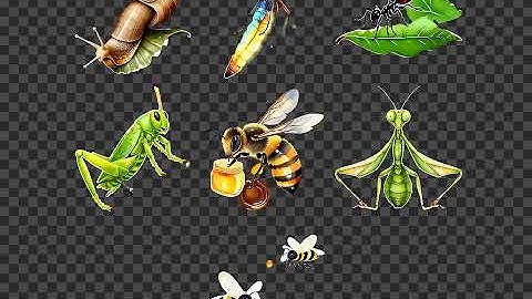Cute Insects Clipart Bundle Buggy Friends Ladybug Butterfly Bee Caterpillar Dragonfly Grasshopper...