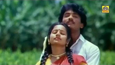 நான் ஏரிக்கரை மேலிருந்து | Naan Erikarai Melirunthu Video Song HD | Chinna Thayi Movie | Ilayarajaa