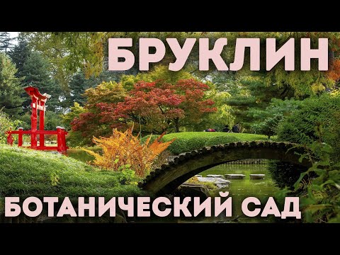 Видео: Места для посещения рядом с Бруклинским ботаническим садом