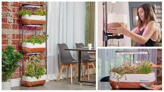 Now on Kickstarter: Herbstation | The easiest way to grow at home