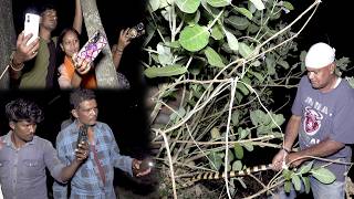 😱 रोज़-रोज़ आ रहा था बैंडेड क्रेट सांप | आखिरकार किया गया रेस्क्यू! 🐍
