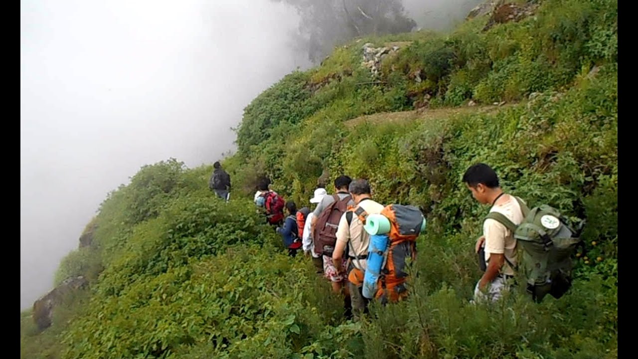BOSQUE DE ZÁRATE Comando Ecológico Lima 2016 YouTube