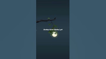 قران كريم اجر لي ولكم القارئ الشيخ محمد ايوب