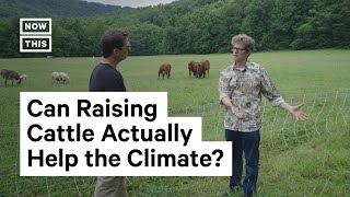 Can Cows Be Part of the Climate Solution?