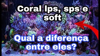 Types of corals, SPS, LPS and soft corals, everything about them!! screenshot 4