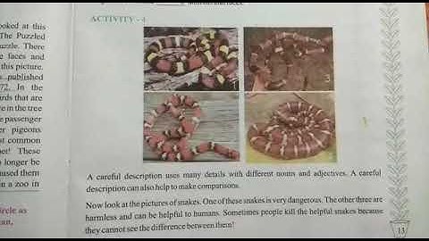 STD 6 English unit 2 activity 4,5