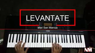 Miniatura del video "Medley Levantate, Vino Celestial, Cuando Pienso/Cover Piano"