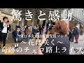 急にプロのチェロ奏者が“花は咲く”を演奏開始したら駅が温かい雰囲気に包まれて..【ストリートチェロ】