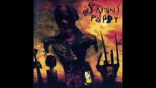 Skinny Puppy - Brap  Back & Forth Series 3 & 4 (Remaster)