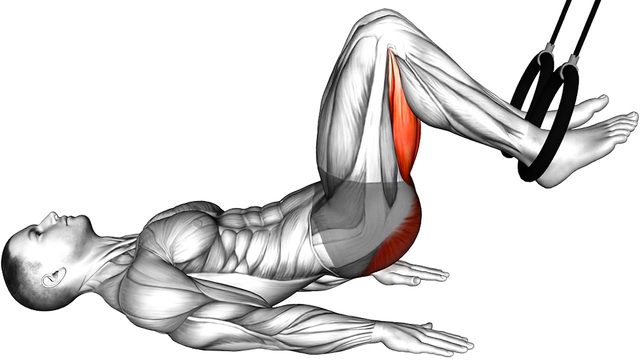 Exercise Close Your Rings The Only 12 Gym Ring Exercises You Need! - YouTube