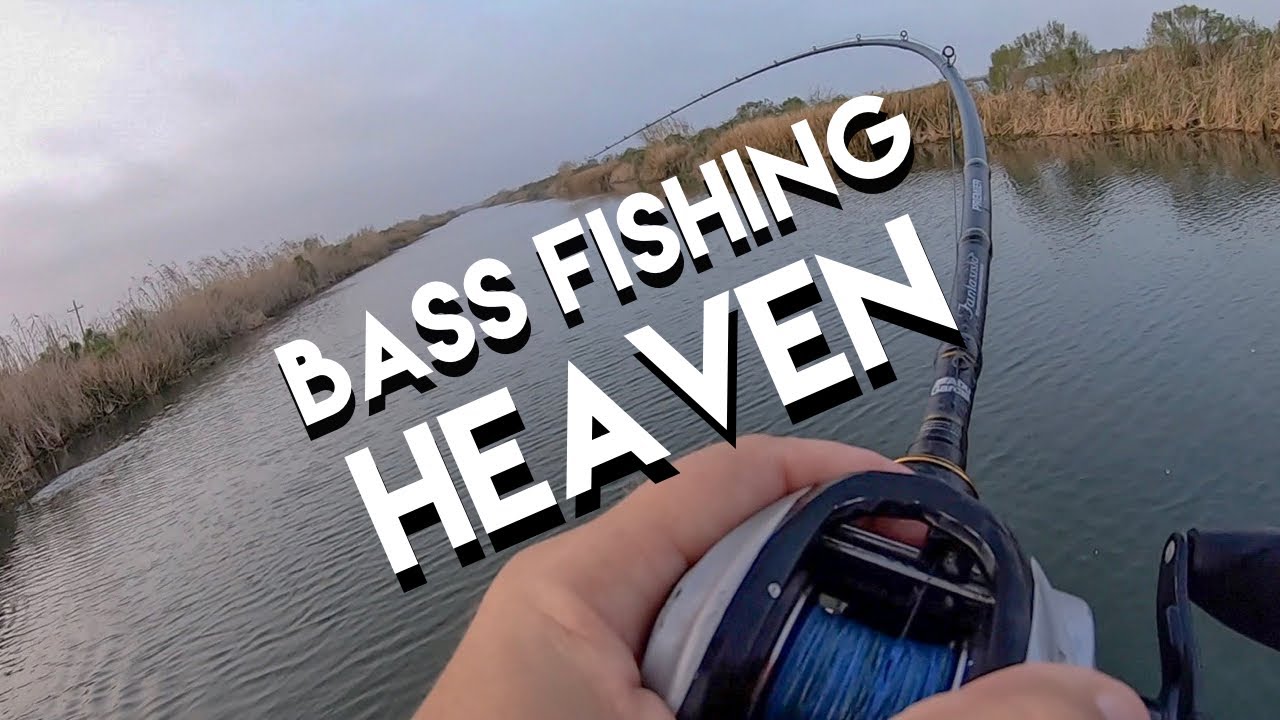 I Found BASS FISHING HEAVEN!! (Part 1)