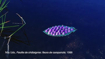 The Vassivière sculpture forest, an art intersection