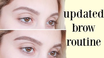 Updated Brow Routine | Nicol Concilio