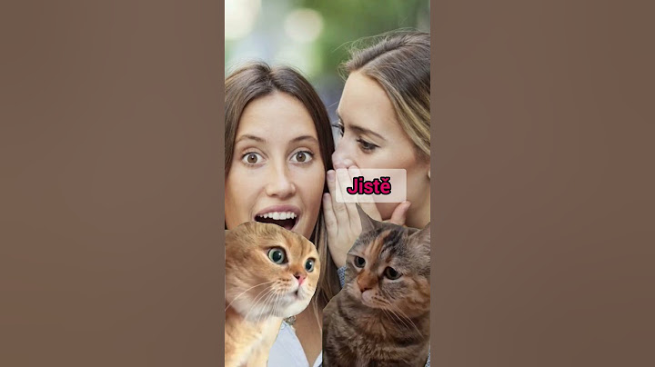 Můžu se tě zeptat, co nejhoršího jsi udělala za peníze? #vtip #humor A co jste udělali vy⁉️