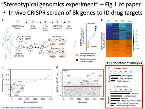 Video: Virkningerne Af CRISPR-Cas9 Knockout Af TGF-ß1 Genet På Gevirbruskceller In Vitro