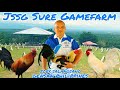 JSSG Sure Gamefarm in Gensan Philippines | Mr.Joey Salangsang