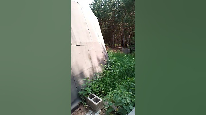 Заброшенный дом в лесу. Купольный дом. Заброшенное родовое поместье.