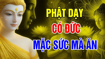 Có Đức Mặc Sức Mà Ăn - Cha mẹ phúc đức để dành cháu con GIÀU SANG PHÚ QUÝ - Vạn Điều Tinh Hoa