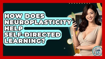 How Does Neuroplasticity Help Self-directed Learning? - Learn As An Adult