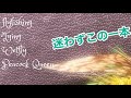 ウエットフライ・タイイング〜「ピーコック・クイーン」ひとつだけ選ぶならこのフライです。