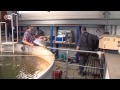 Buceo industrial: soldar bajo el agua | Hecho en Alemania