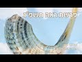 שיעור הרב מרדכי אלון פרשת ראה