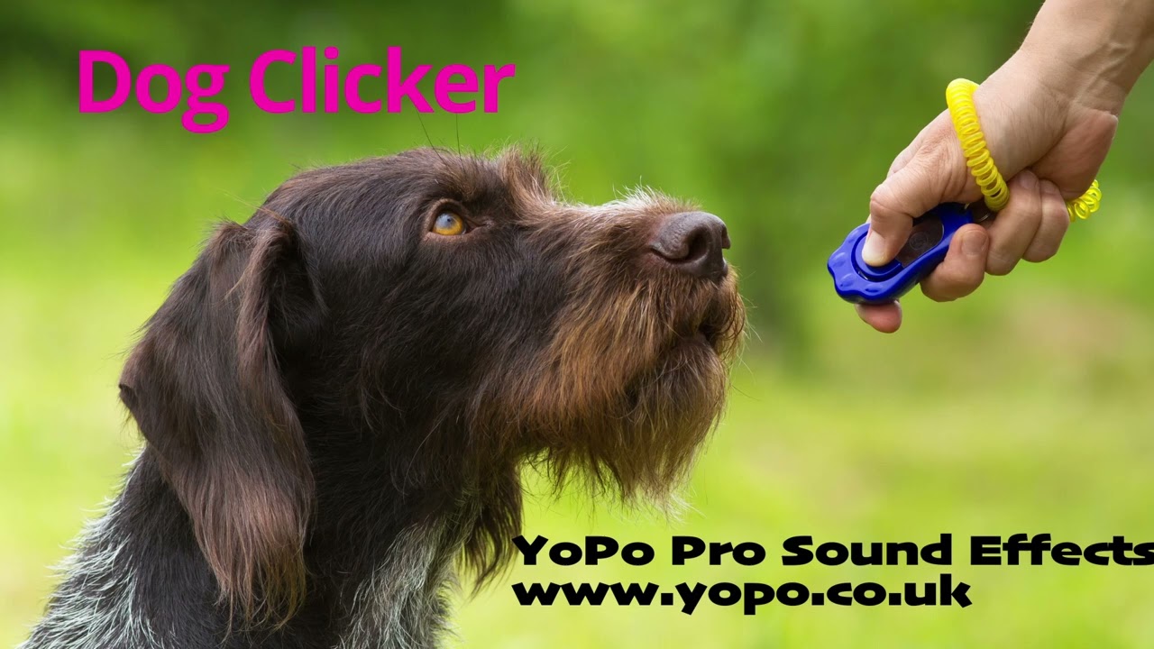 Dog Clicker Sounds - a dog clicker used for clicker training