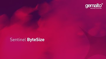 How to Use Sentinel Envelope in a Nutshell | Software Monetization Quickstart