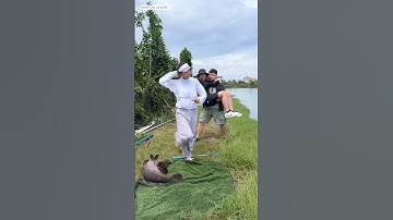 gái xinh lấy tay lôi cá mũ 40 kg làm 2 anh cần thủ ngạc nhiên luôn #fishing #cauca